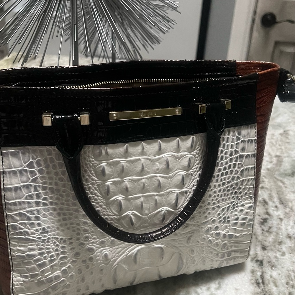 Leather Brahmin Handbag